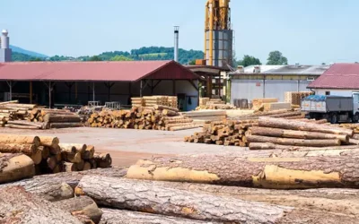 Bois de charpente à Contrexéville : pour des ossatures de qualité